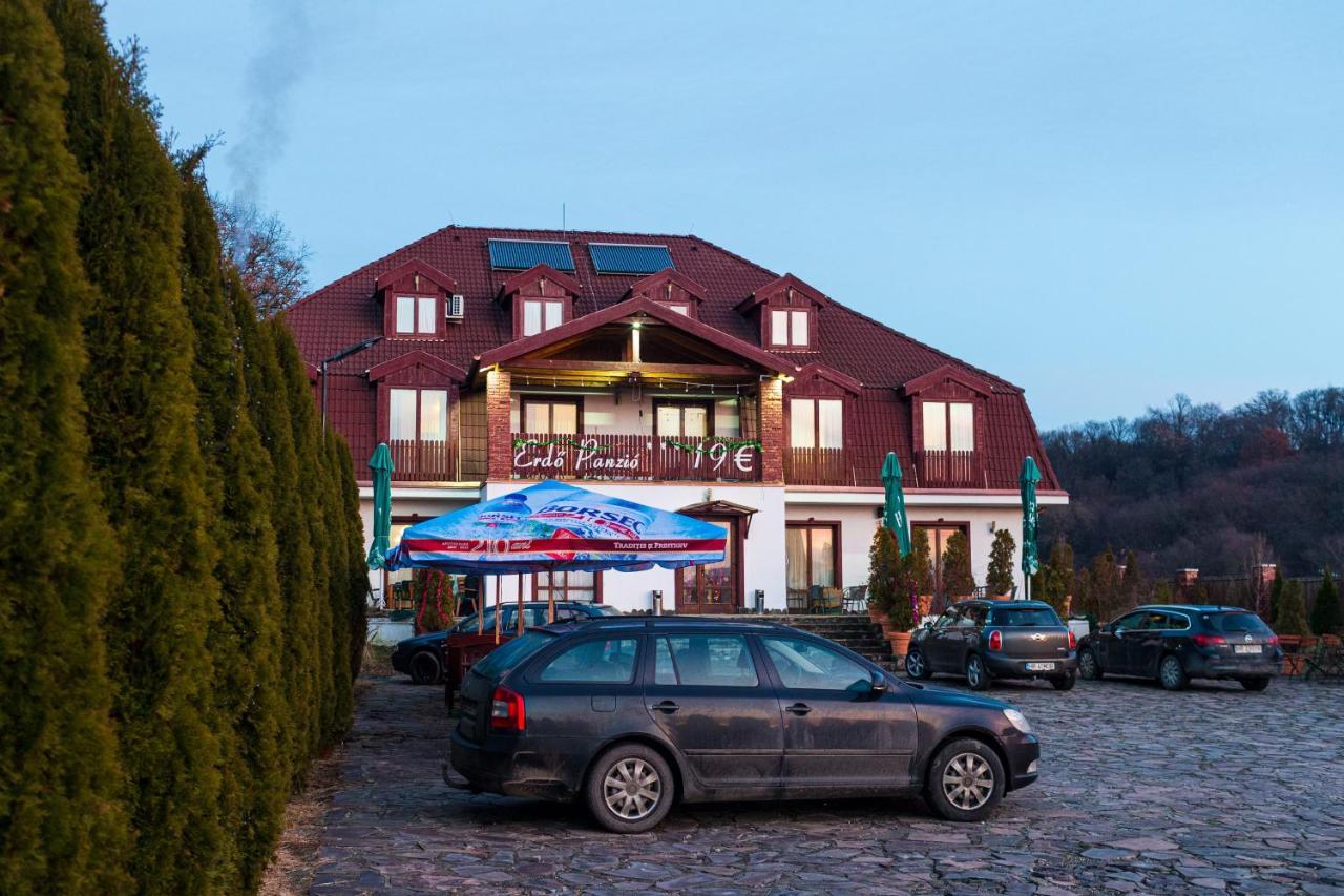 Pensiunea Si Restaurant Erdo Odorheiu Secuiesc Exteriör bild