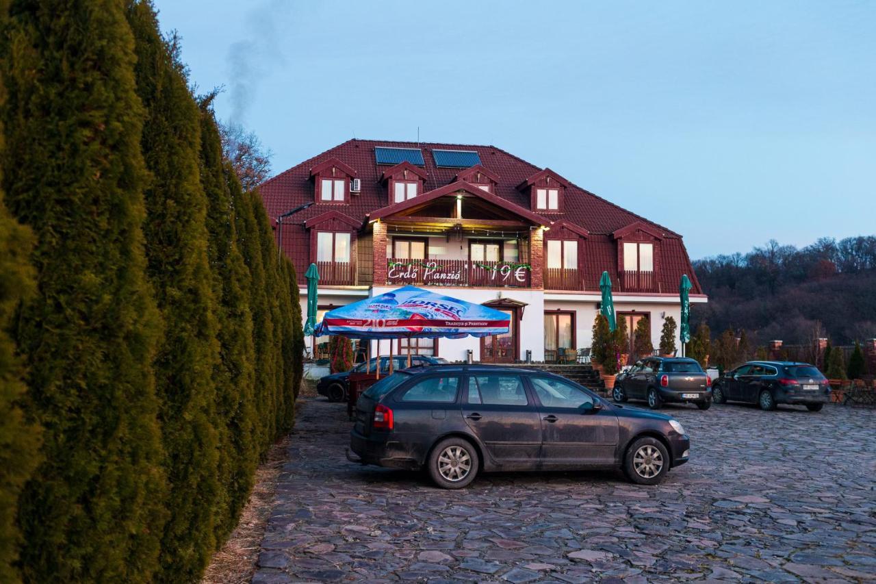 Pensiunea Si Restaurant Erdo Odorheiu Secuiesc Exteriör bild